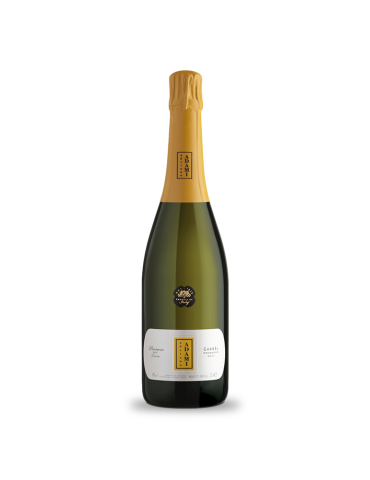 Adami Garbel Prosecco 375ml