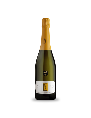 Adami Garbel Prosecco 750ml